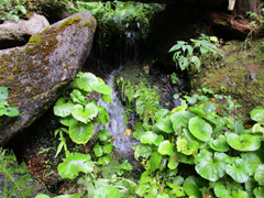 秩父山水の特徴