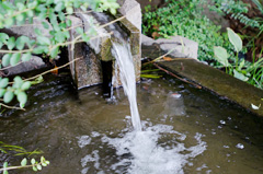 秩父のおいしい水